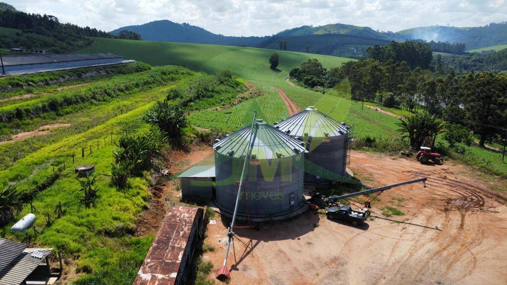 Fazenda, 315 hectares - Foto 18