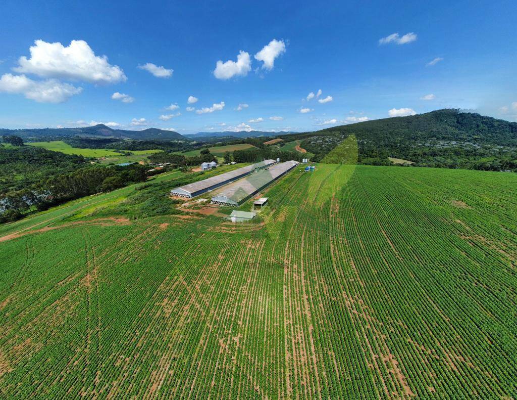 Fazenda, 315 hectares - Foto 23