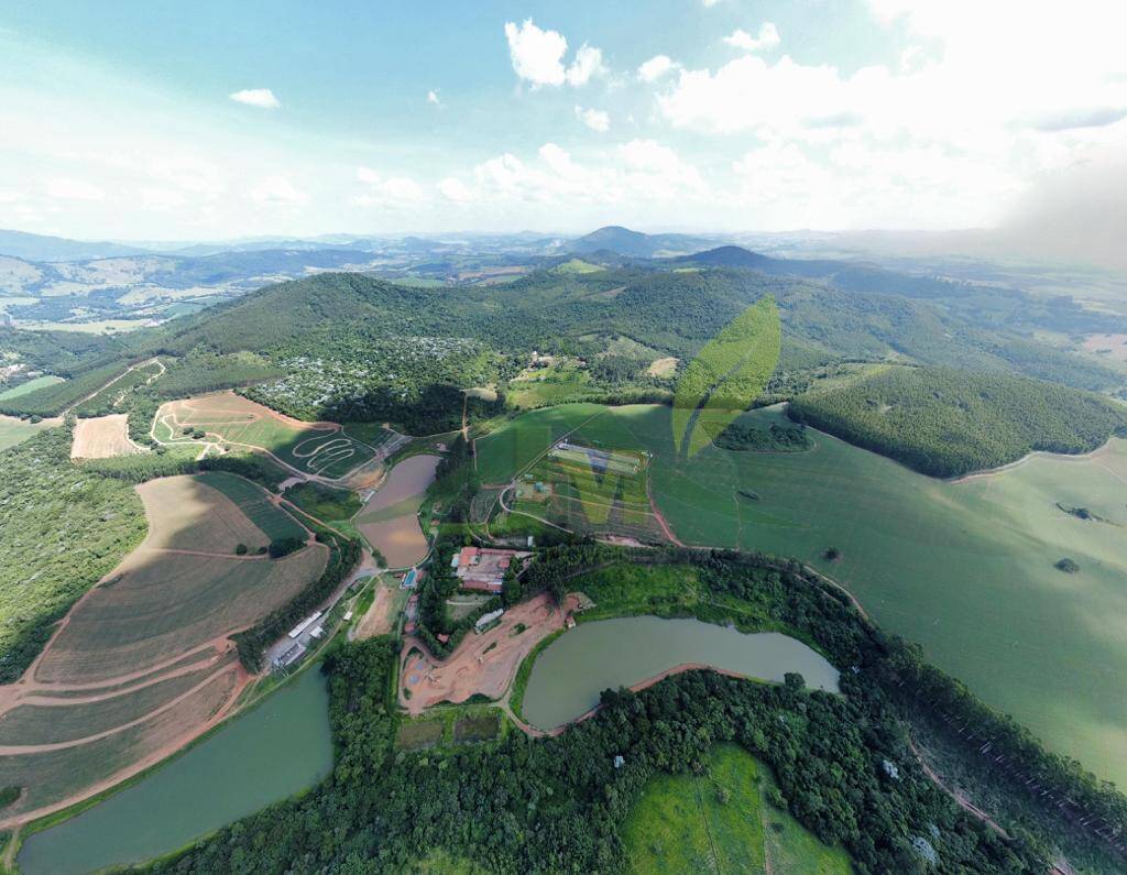 Fazenda, 315 hectares - Foto 21