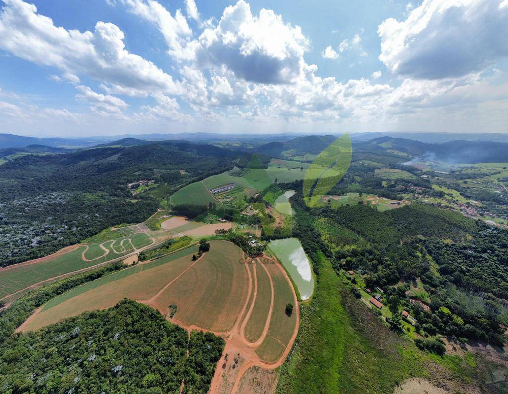 Fazenda, 315 hectares - Foto 24