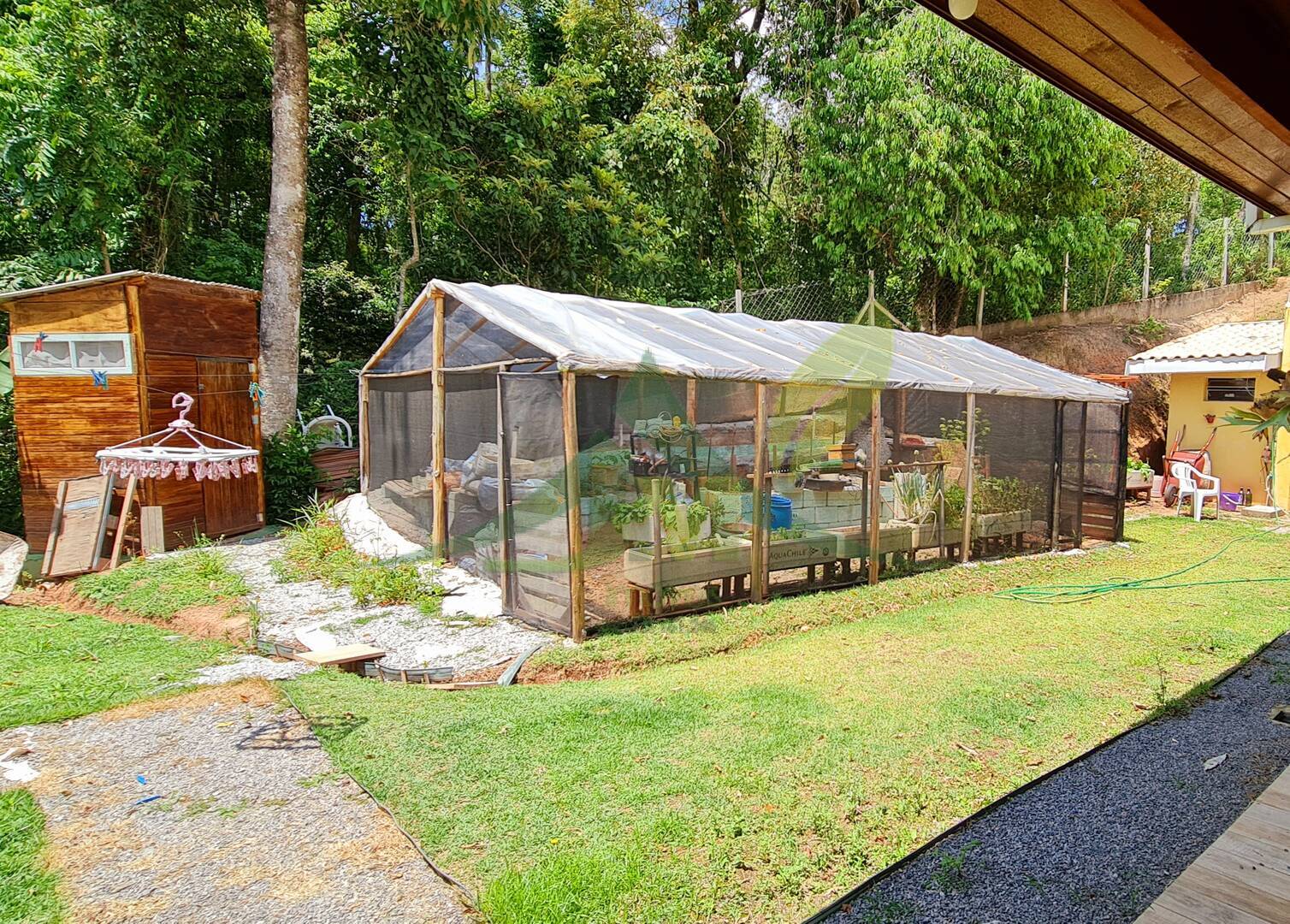 Sítio, 3 quartos, 4200 m² - Foto 10