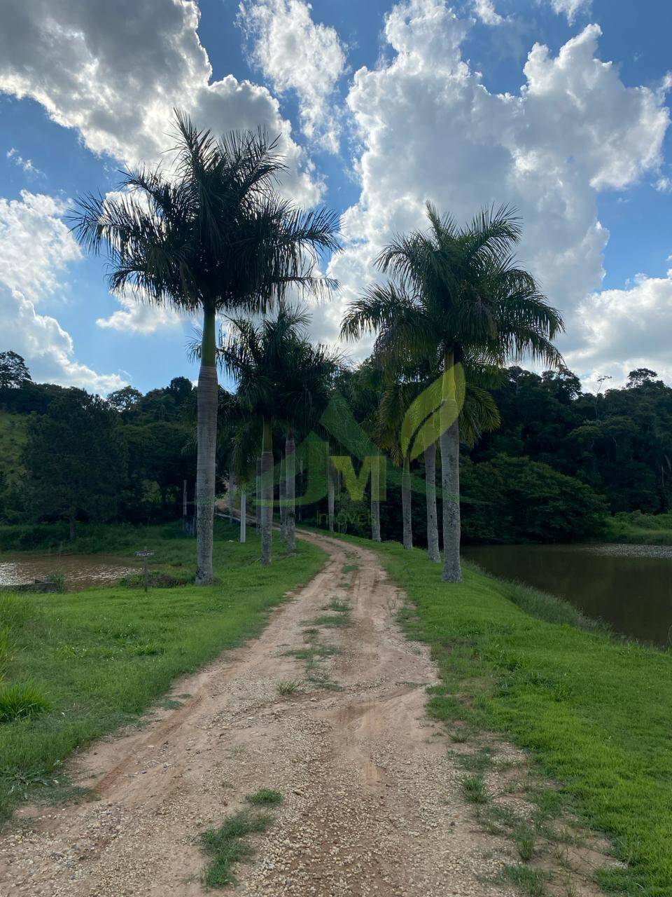 Fazenda, 52 hectares - Foto 5