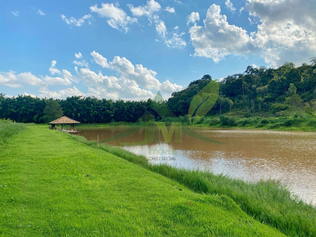 Fazenda, 52 hectares - Foto 6