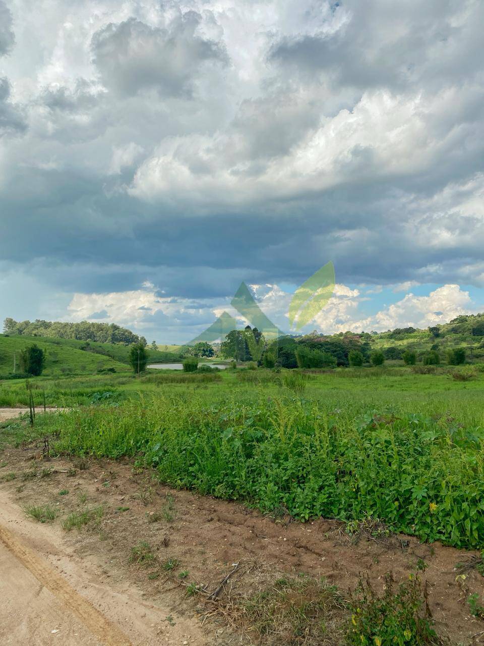 Fazenda, 52 hectares - Foto 4