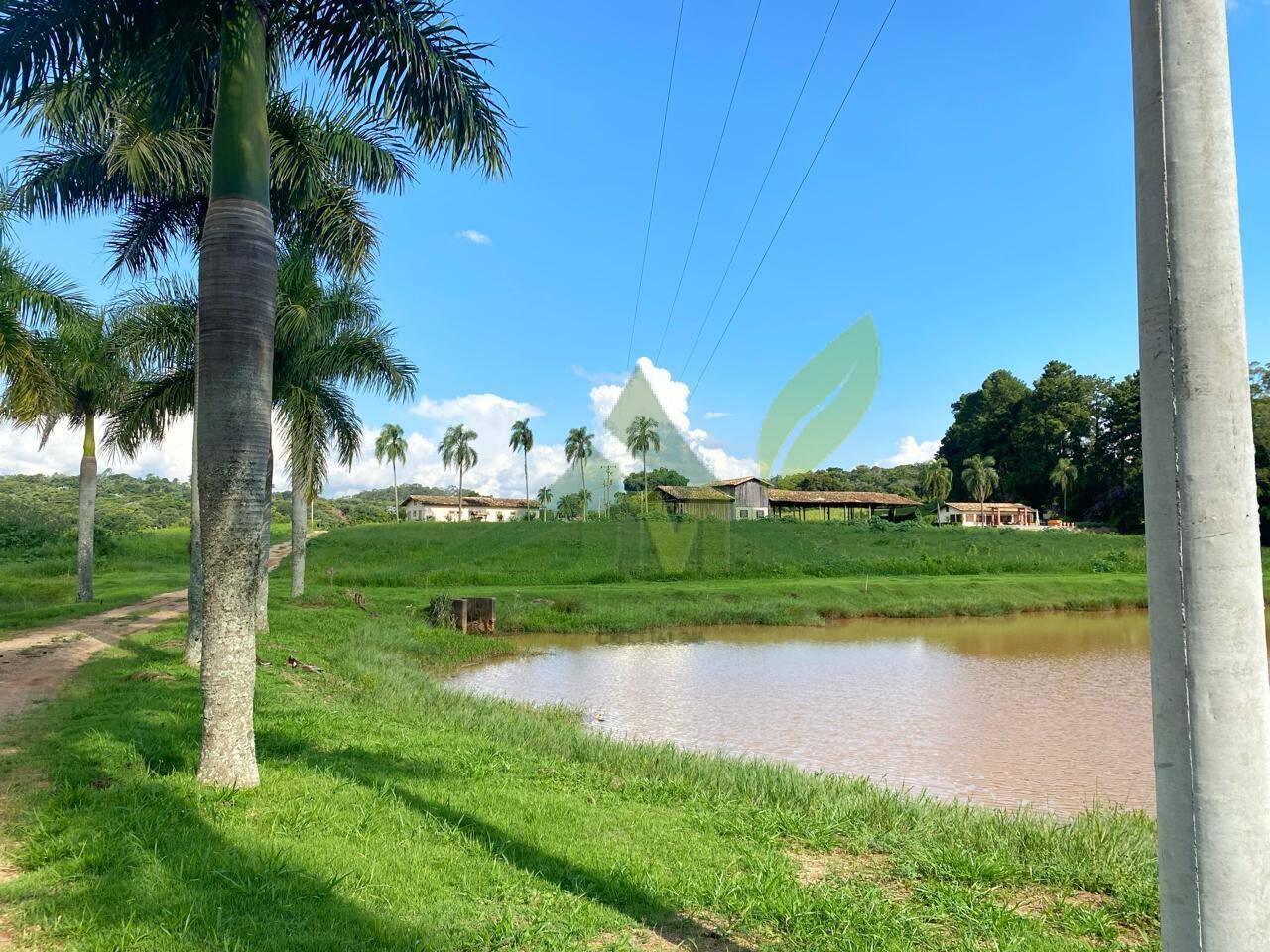 Fazenda, 52 hectares - Foto 7