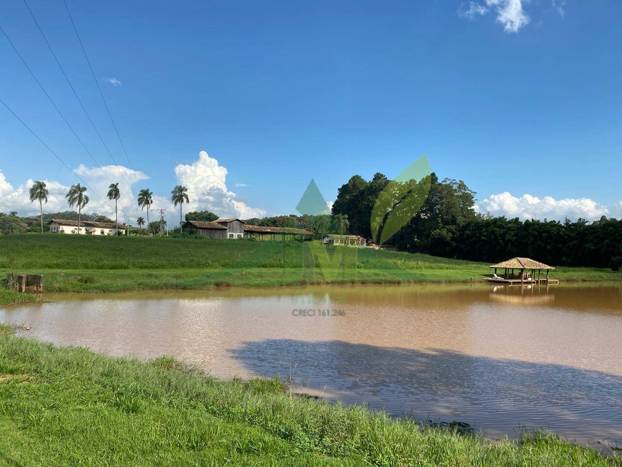 Fazenda, 52 hectares - Foto 8