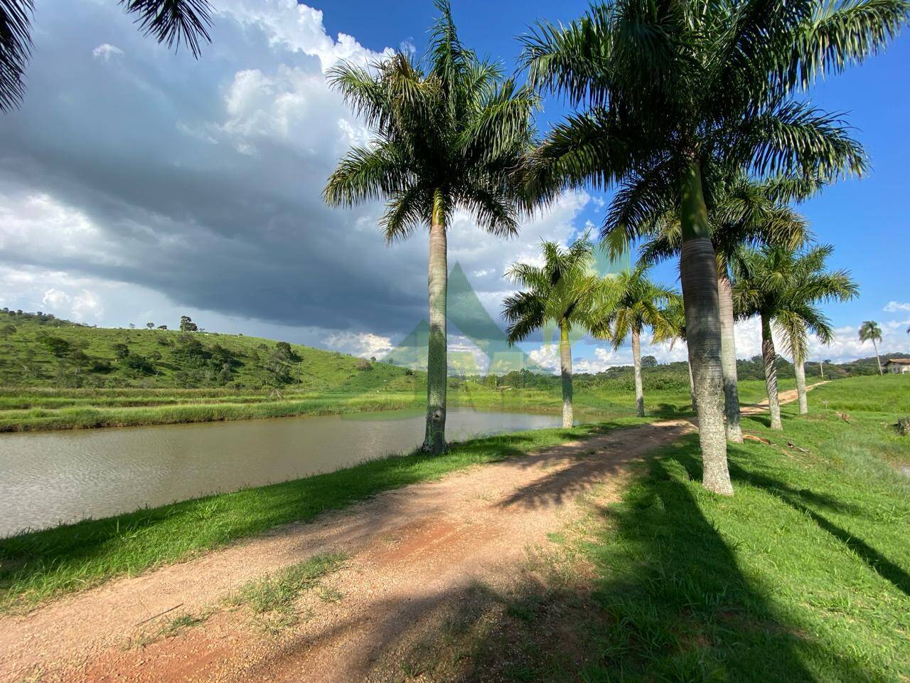 Fazenda, 52 hectares - Foto 9