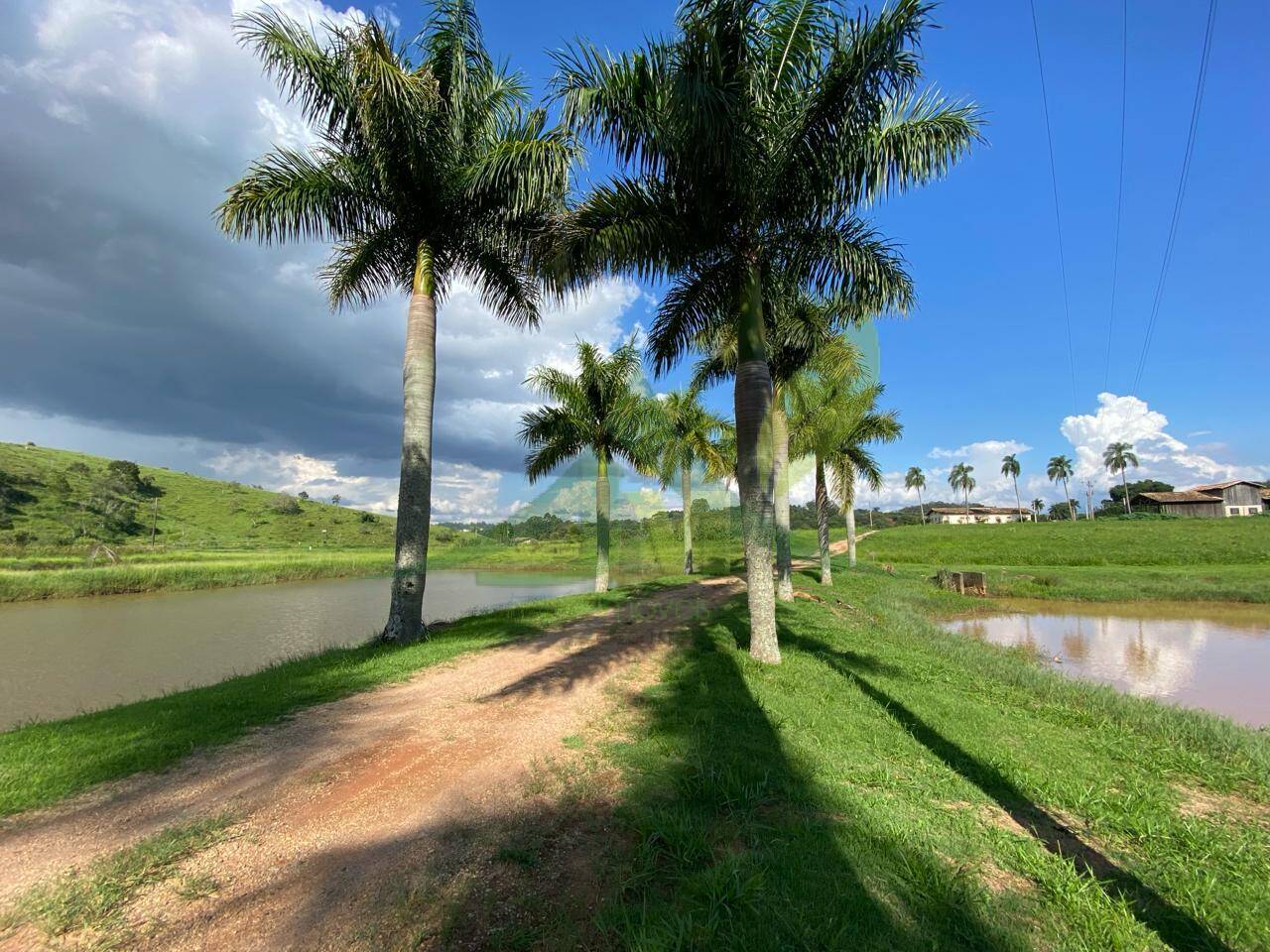 Fazenda, 52 hectares - Foto 10