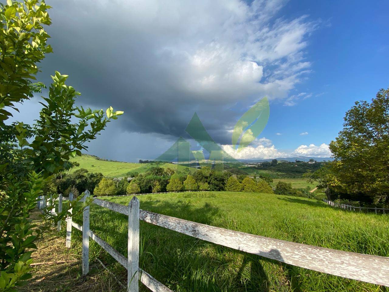 Fazenda, 52 hectares - Foto 44
