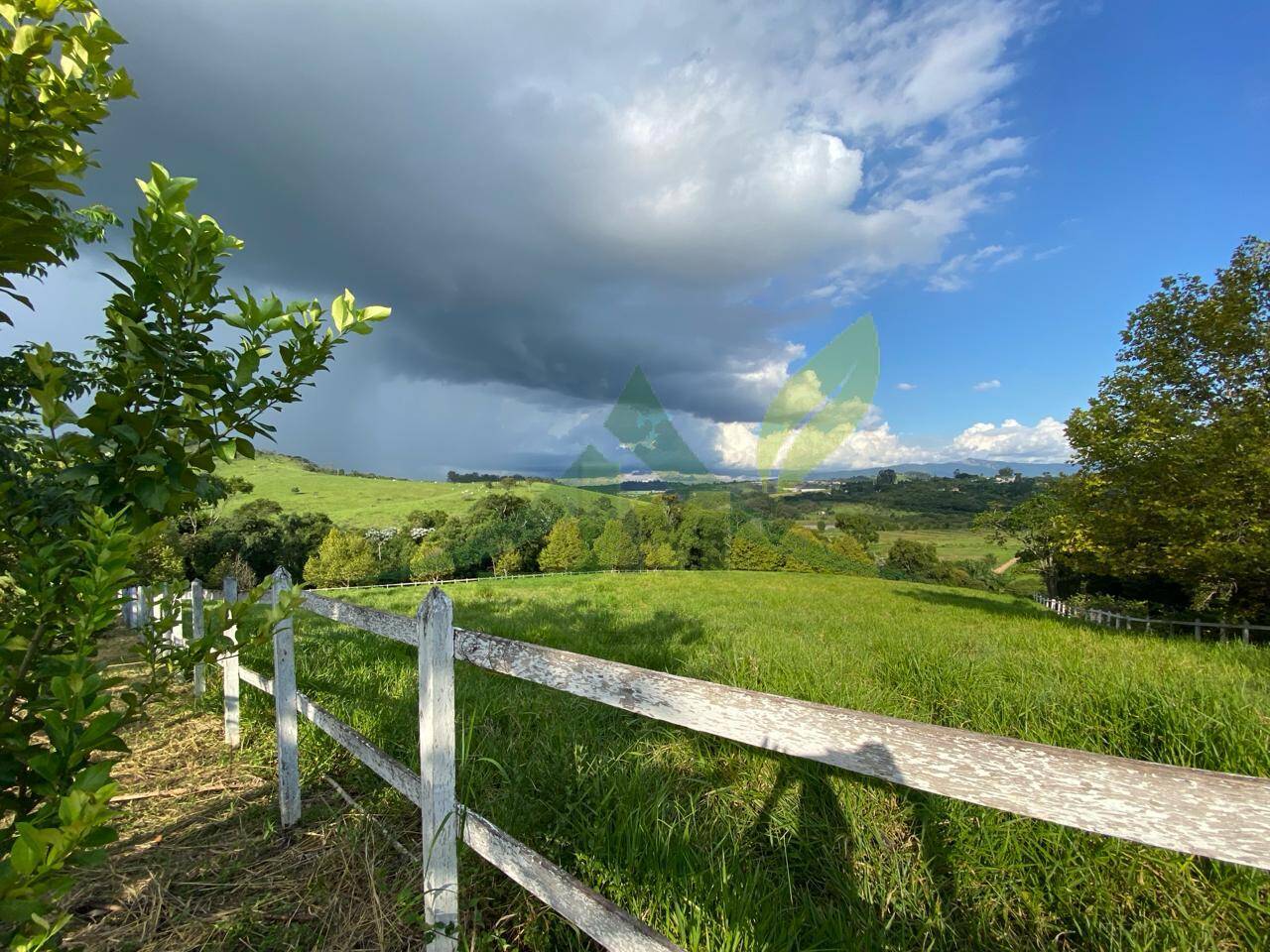 Fazenda, 52 hectares - Foto 43