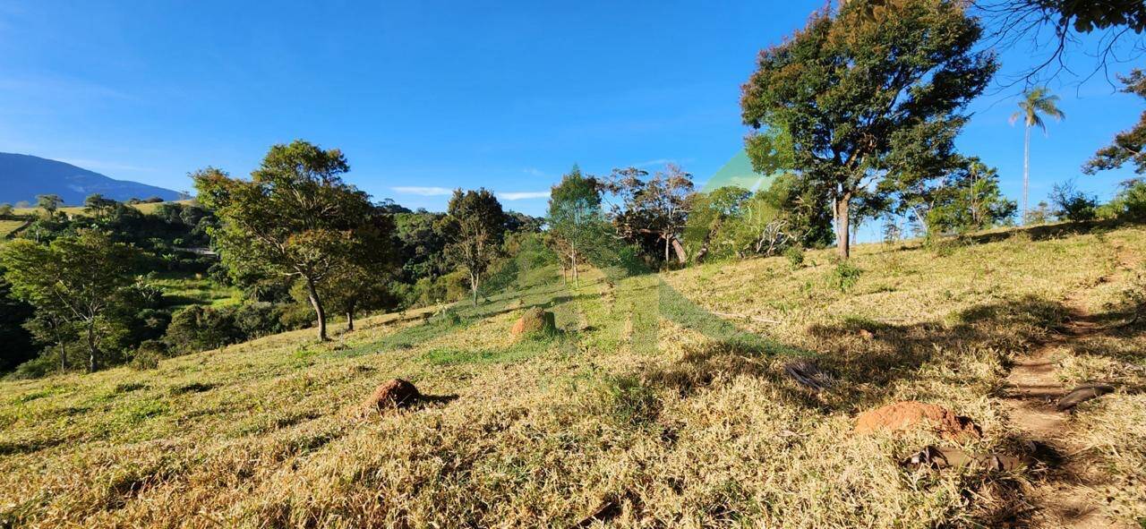 Terreno, 5 hectares - Foto 2