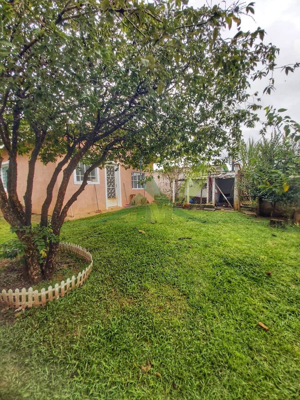 Casa, 2 quartos, 500 m² - Foto 6