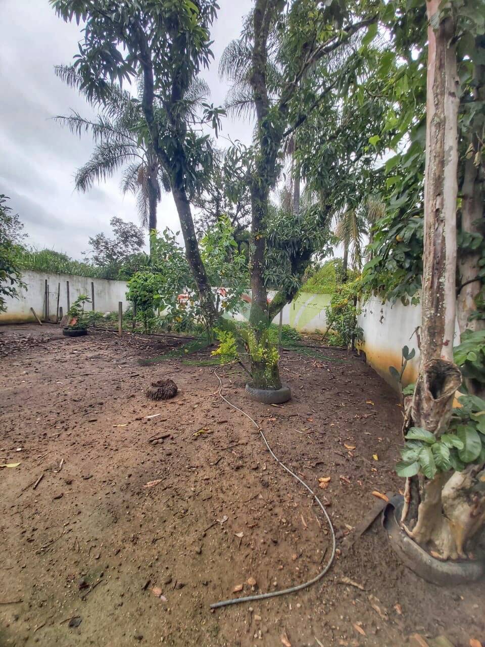 Casa, 2 quartos, 500 m² - Foto 10