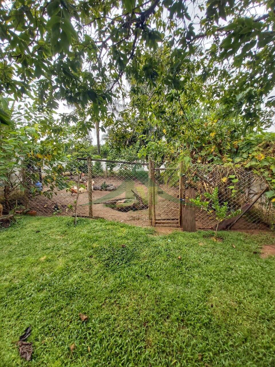 Casa, 2 quartos, 500 m² - Foto 9