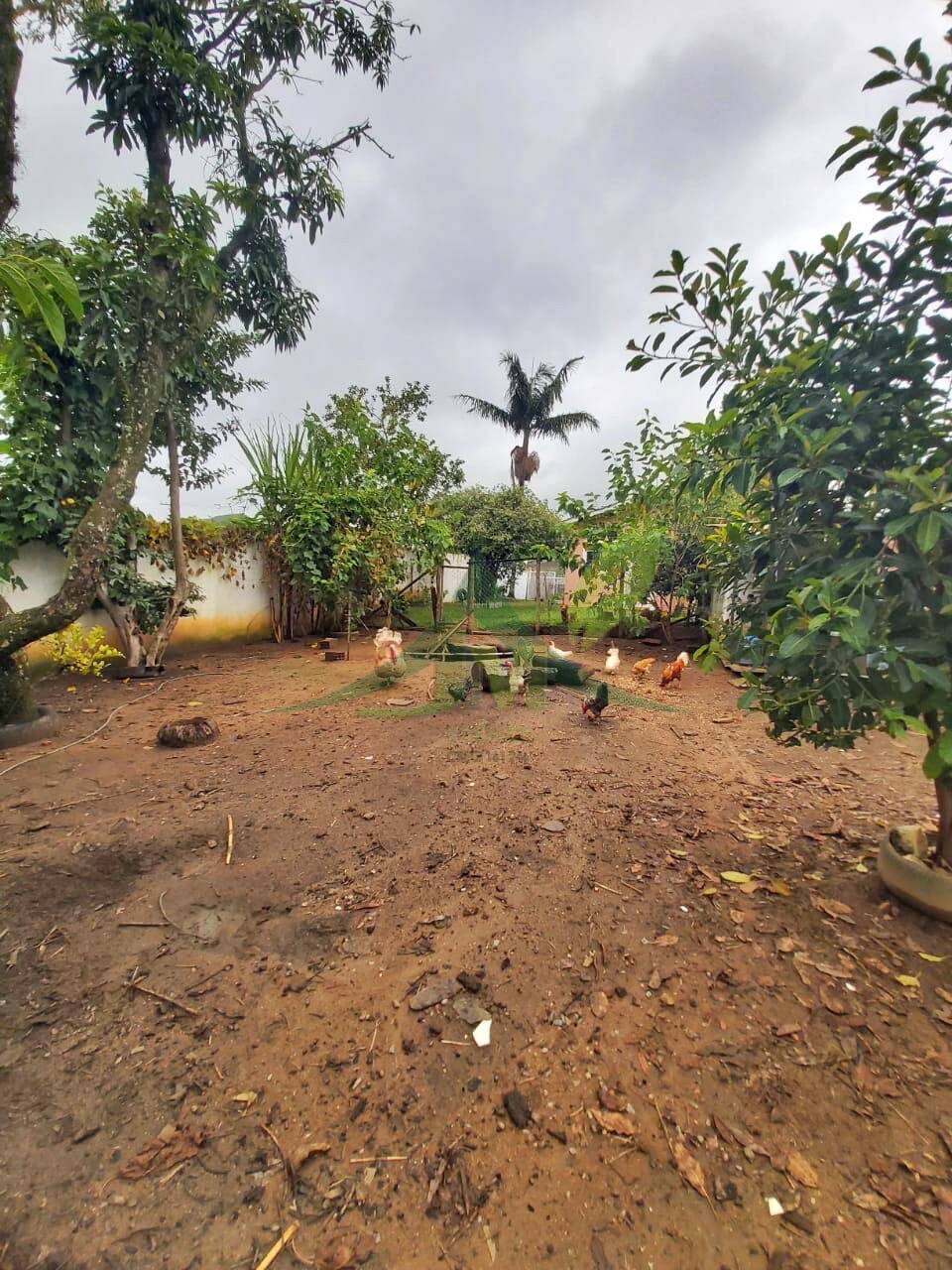 Casa, 2 quartos, 500 m² - Foto 11