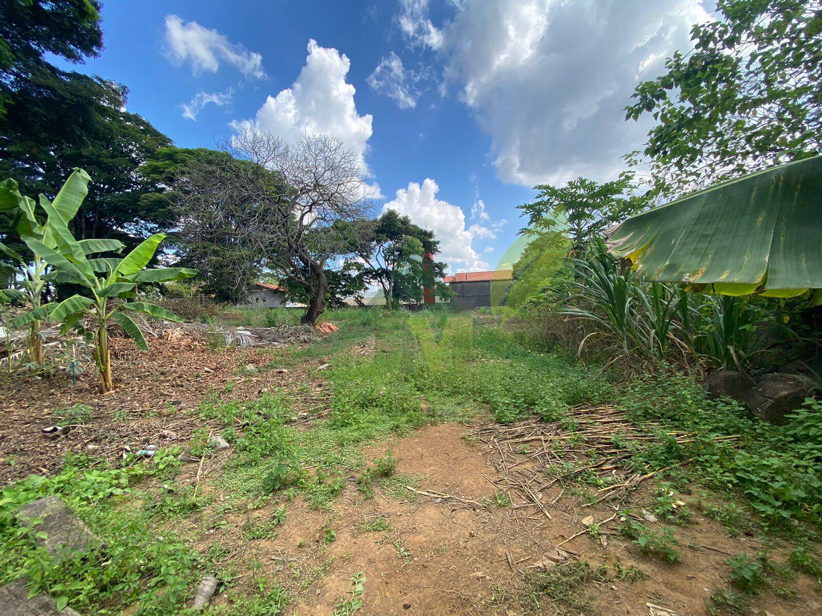 Terreno, 3478 m² - Foto 2