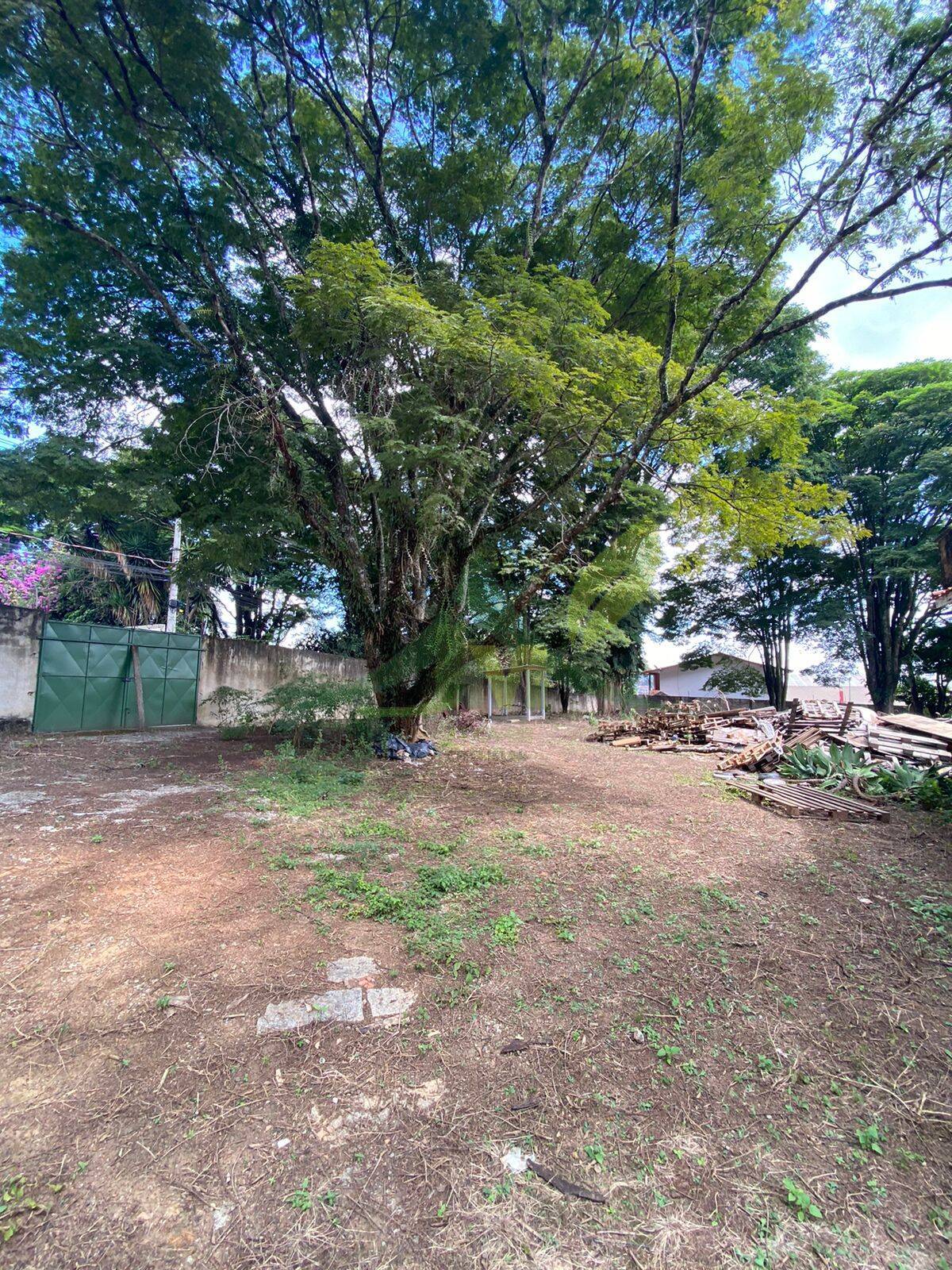 Terreno, 3478 m² - Foto 6