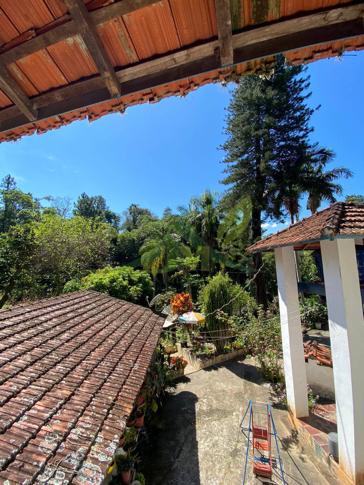 Sítio, 6 quartos, 2 hectares - Foto 31
