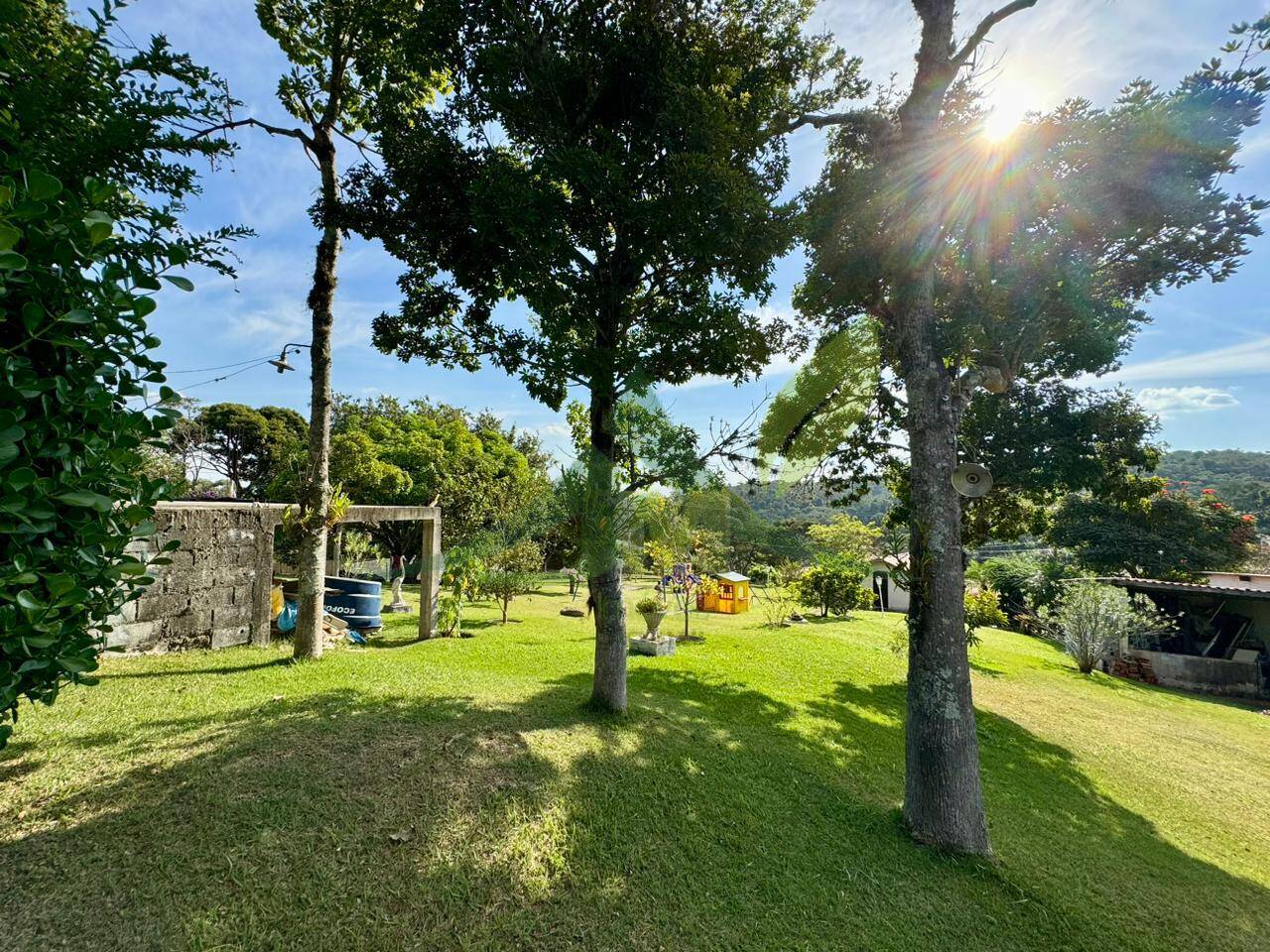 Sítio, 5 quartos, 5000 m² - Foto 23
