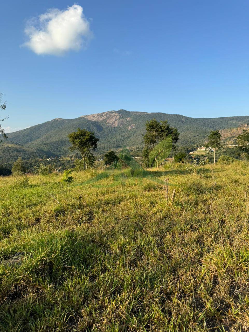 Terreno, 2 hectares - Foto 1