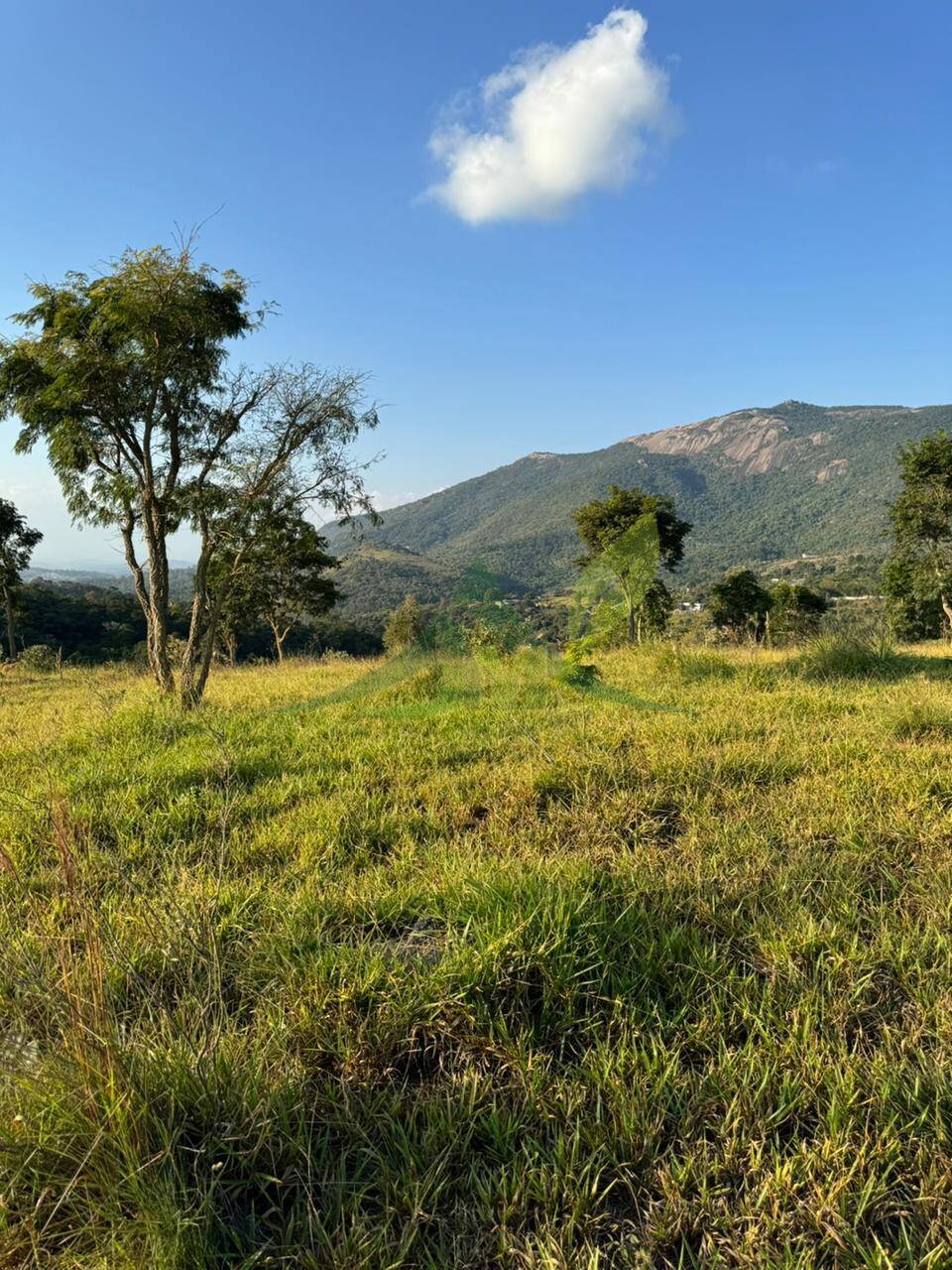 Terreno, 2 hectares - Foto 5
