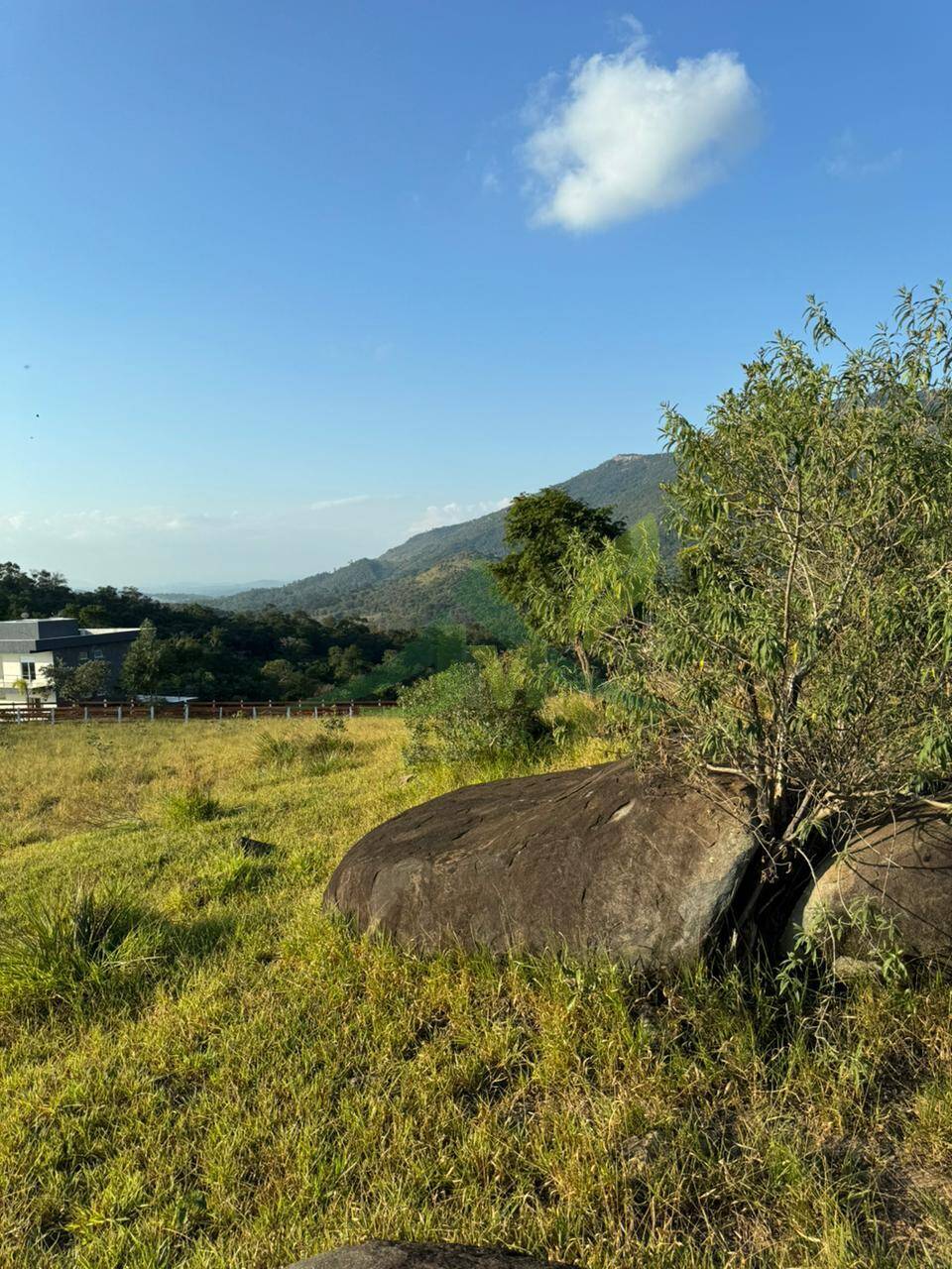 Terreno, 2 hectares - Foto 6