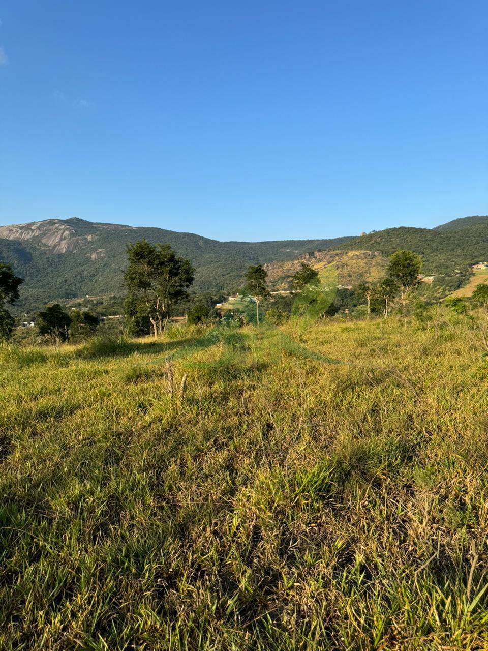 Terreno, 2 hectares - Foto 7