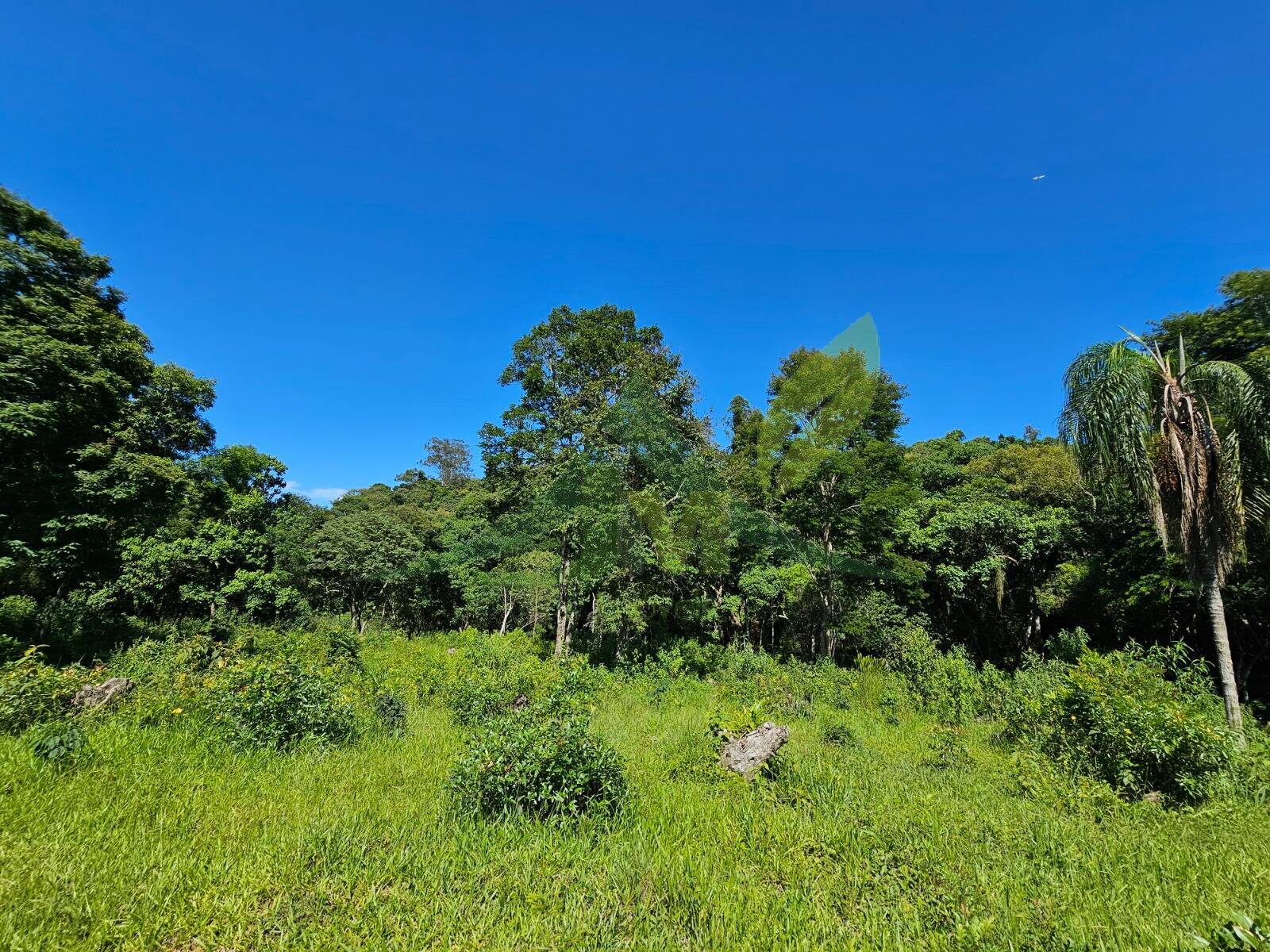 Sítio, 2 quartos, 53 hectares - Foto 1