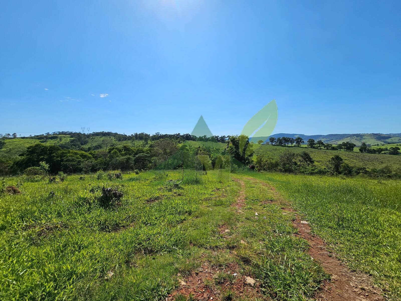 Sítio, 2 quartos, 53 hectares - Foto 7