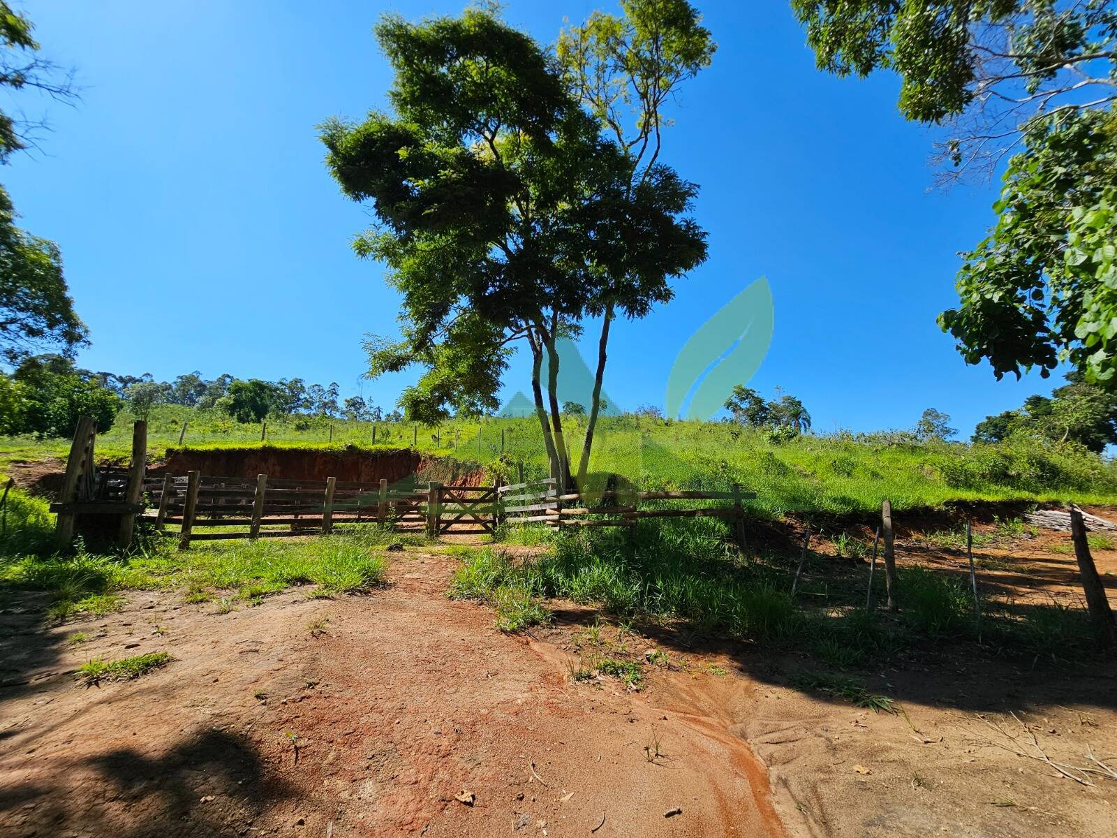 Sítio, 2 quartos, 53 hectares - Foto 10