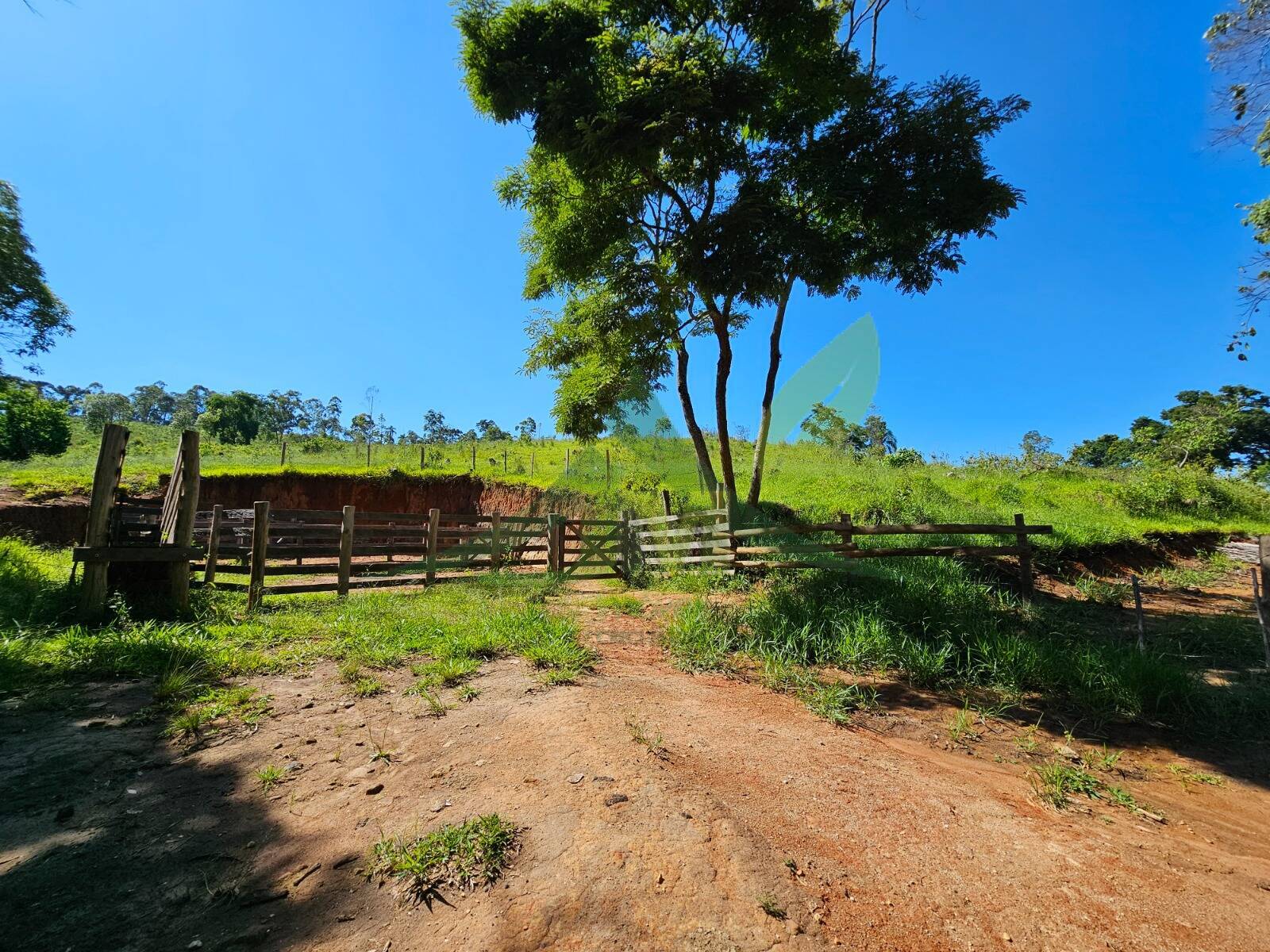 Sítio, 2 quartos, 53 hectares - Foto 11