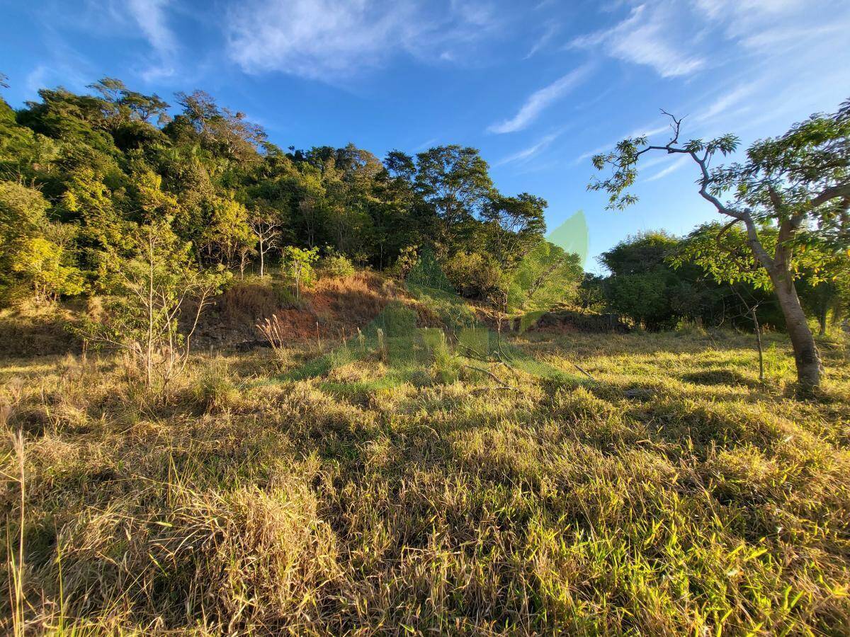 Terreno, 1 hectares - Foto 4