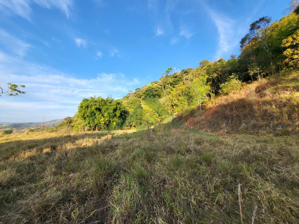 Terreno, 1 hectares - Foto 7