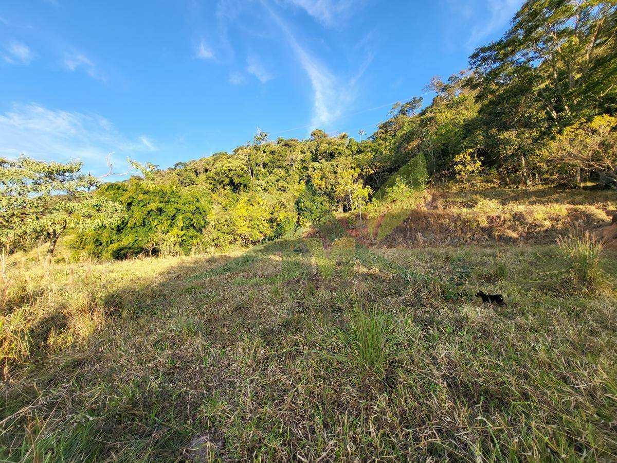 Terreno, 1 hectares - Foto 2