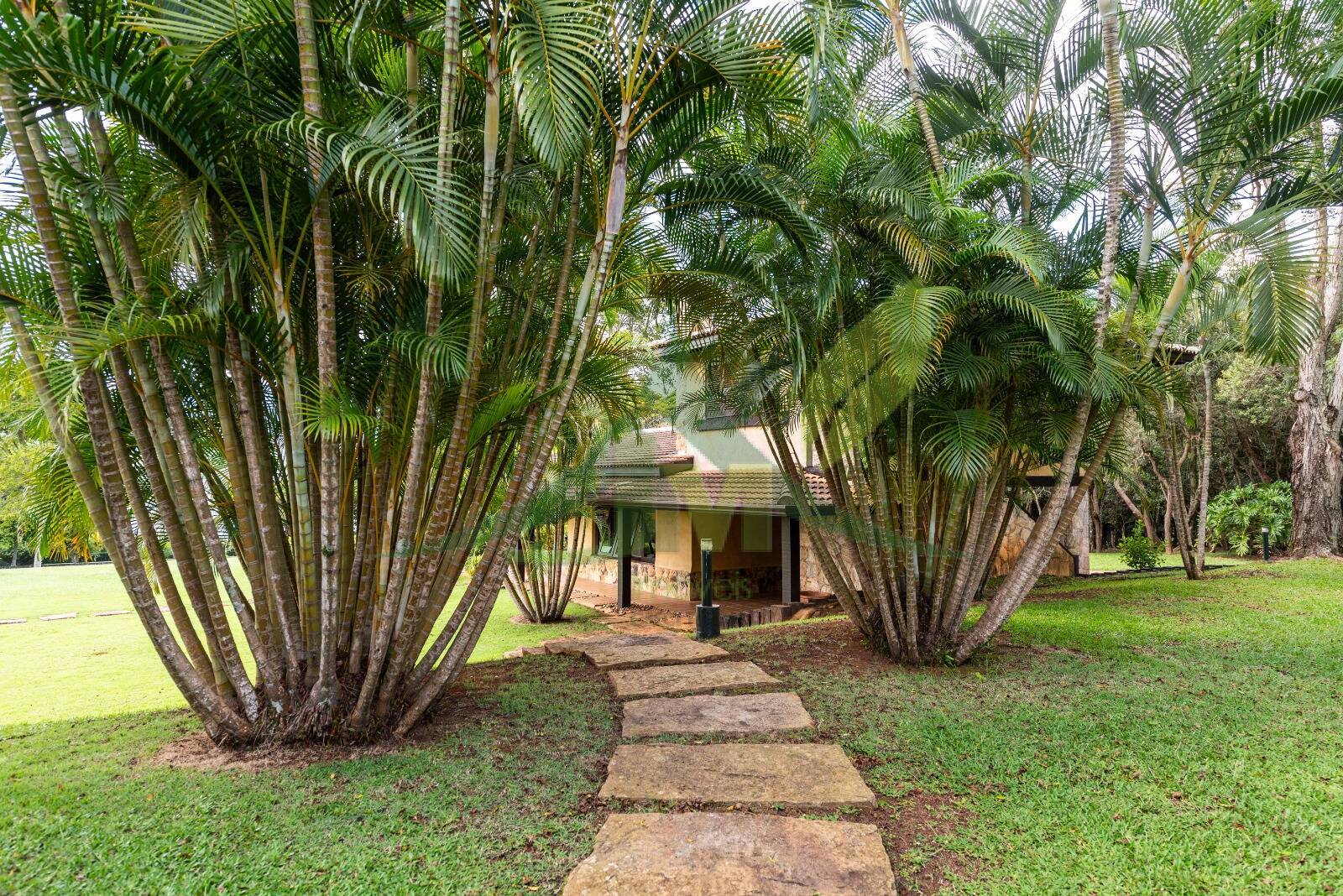 Sítio, 9 quartos, 10 hectares - Foto 10