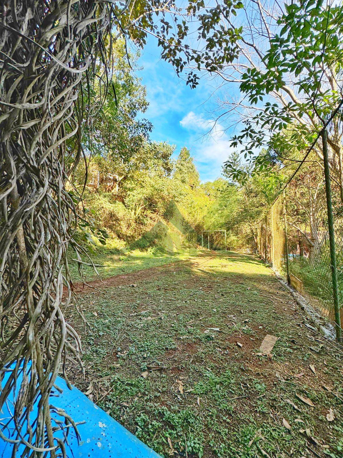 Sítio, 4 quartos, 5000 m² - Foto 8