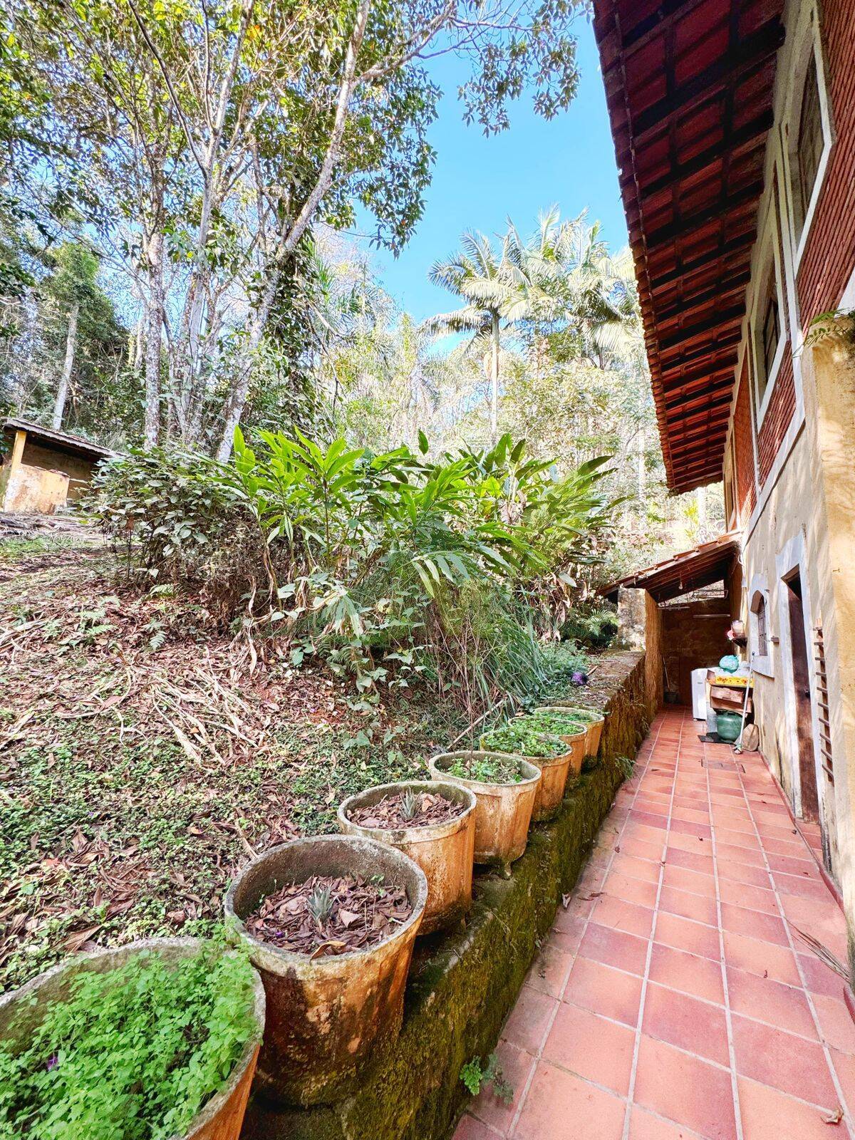 Sítio, 4 quartos, 5000 m² - Foto 10