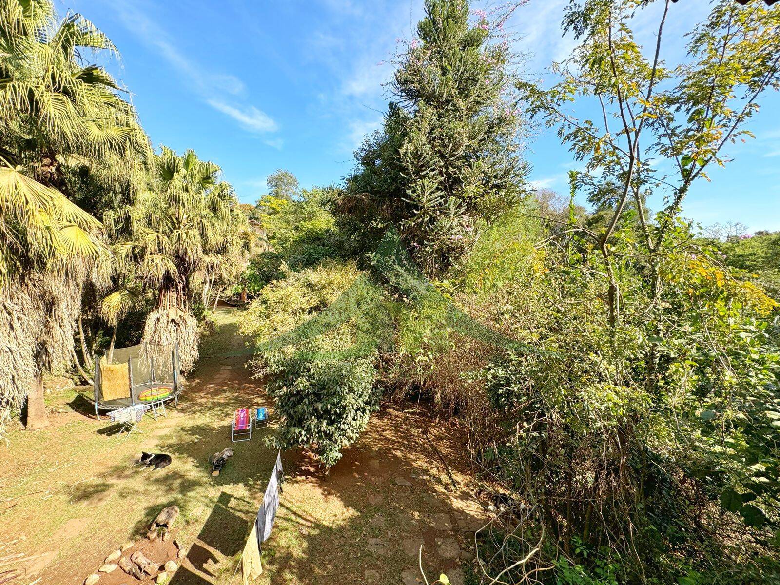 Sítio, 4 quartos, 5000 m² - Foto 36