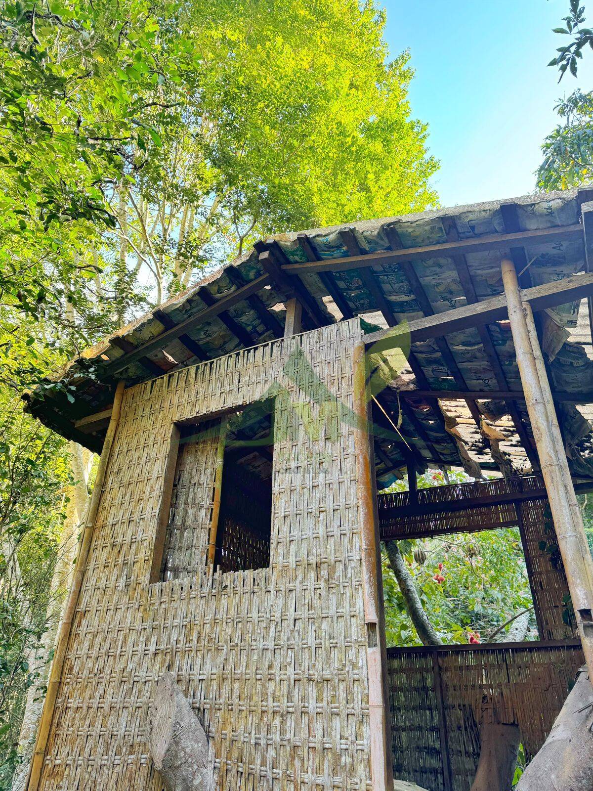 Sítio, 4 quartos, 5000 m² - Foto 39