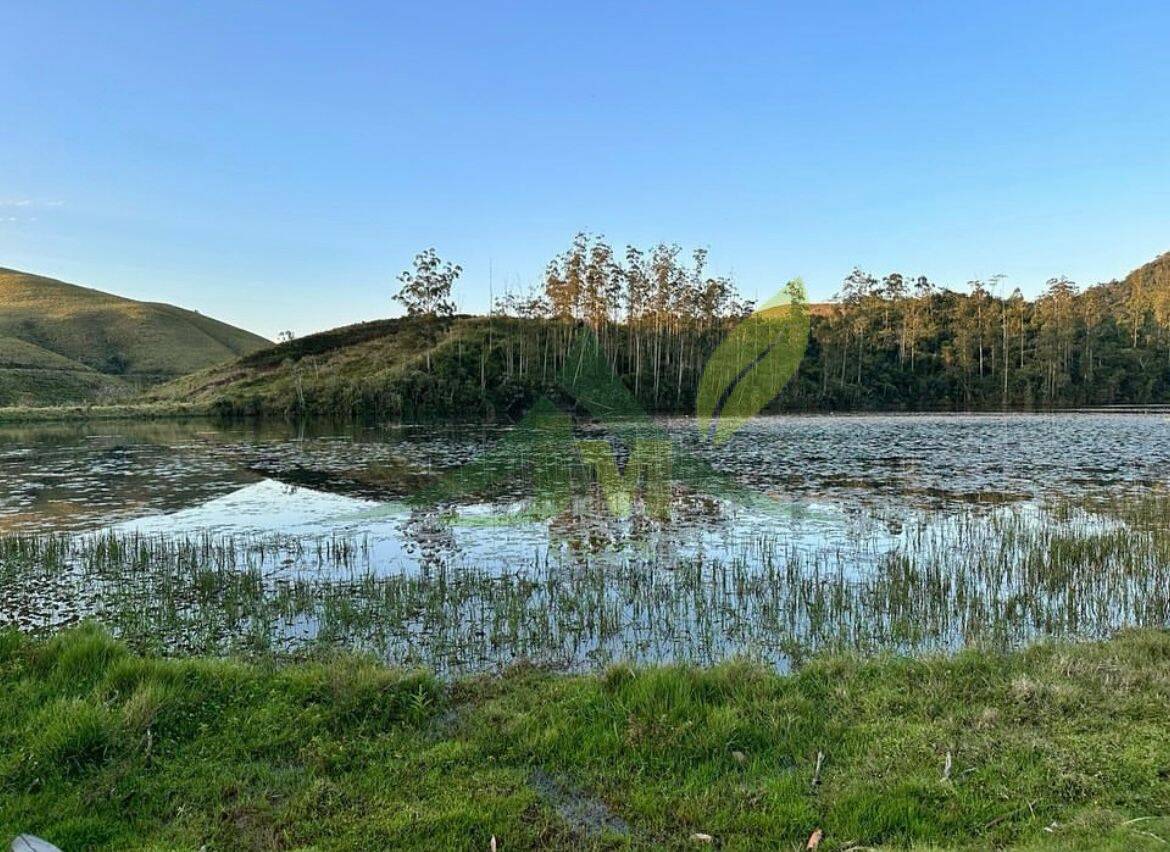 Fazenda, 436 hectares - Foto 10