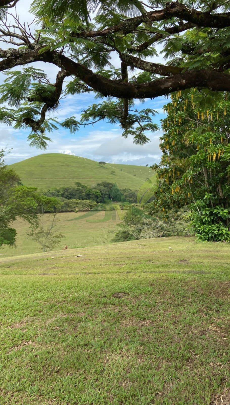 Fazenda, 436 hectares - Foto 4