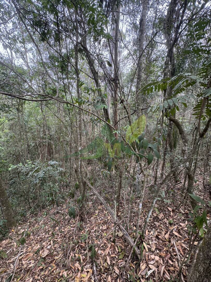 Terreno, 3800 m² - Foto 6