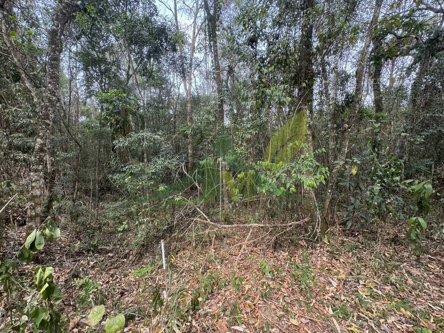 Terreno, 3800 m² - Foto 8
