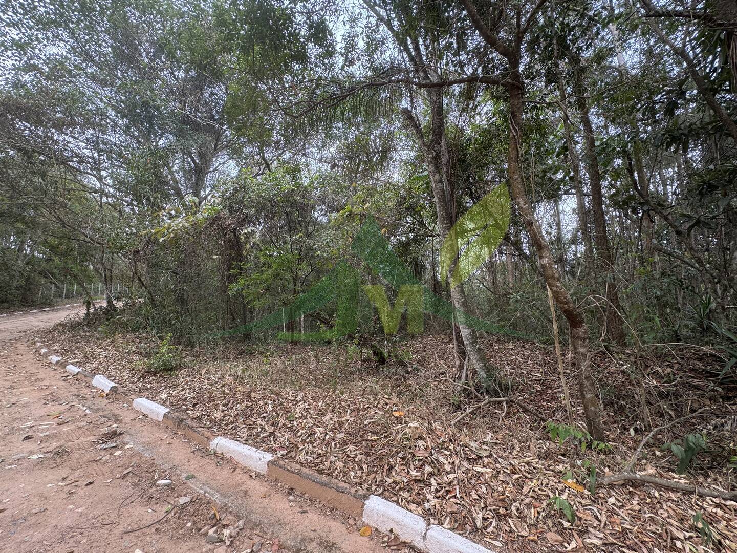 Terreno, 3800 m² - Foto 9