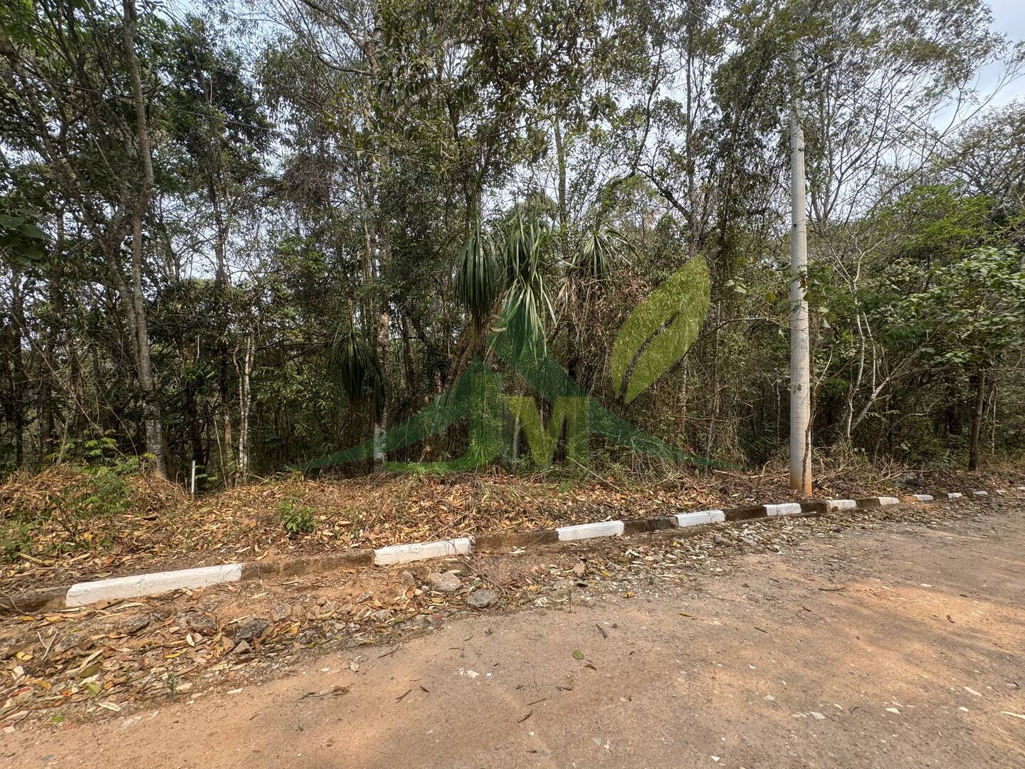 Terreno, 3800 m² - Foto 1
