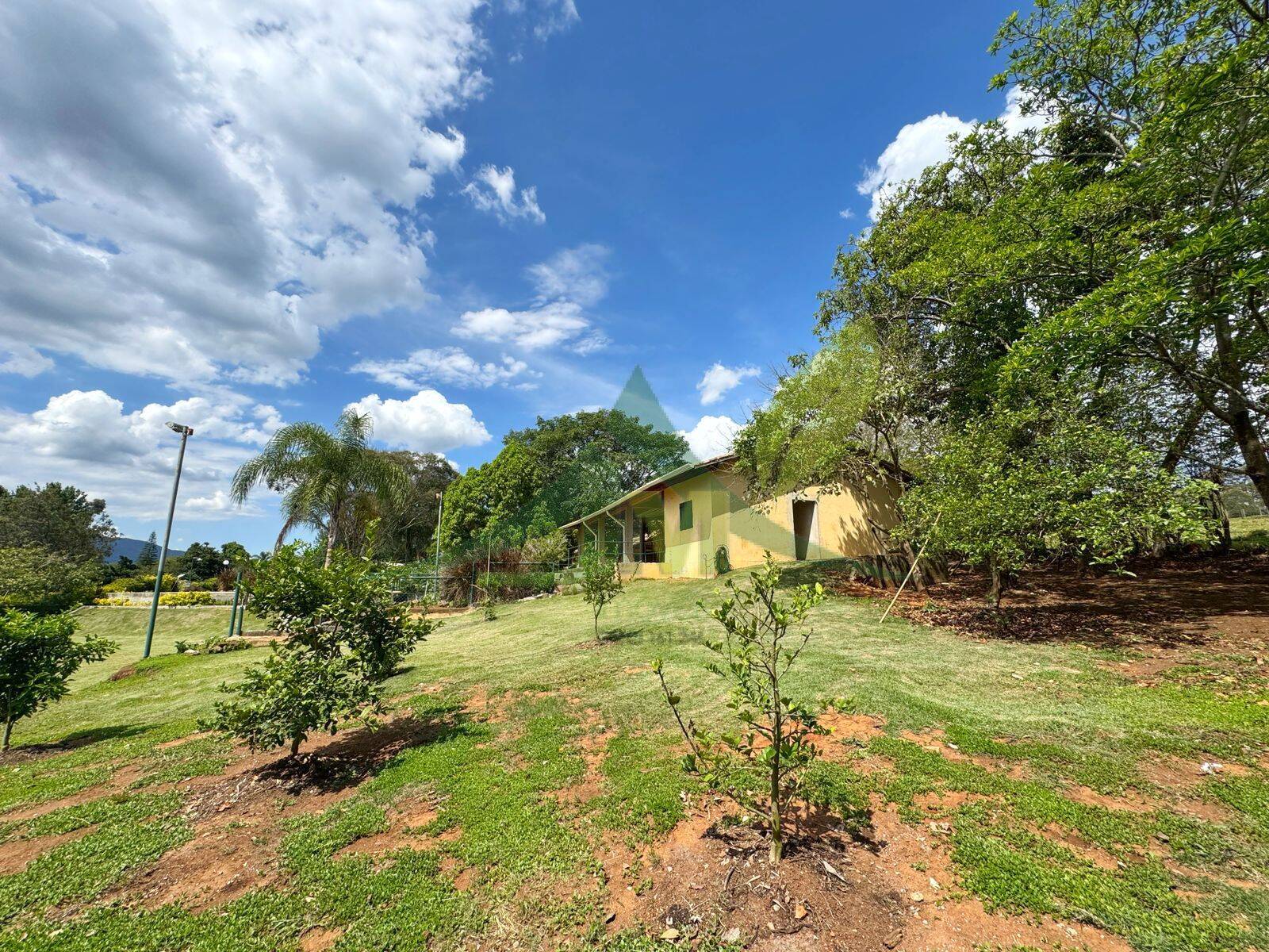 Sítio, 8 quartos, 1 hectares - Foto 7