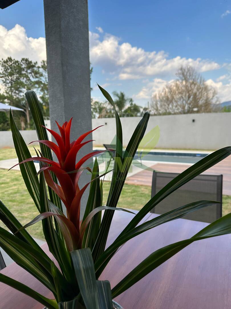 Casa, 3 quartos, 420 m² - Foto 16