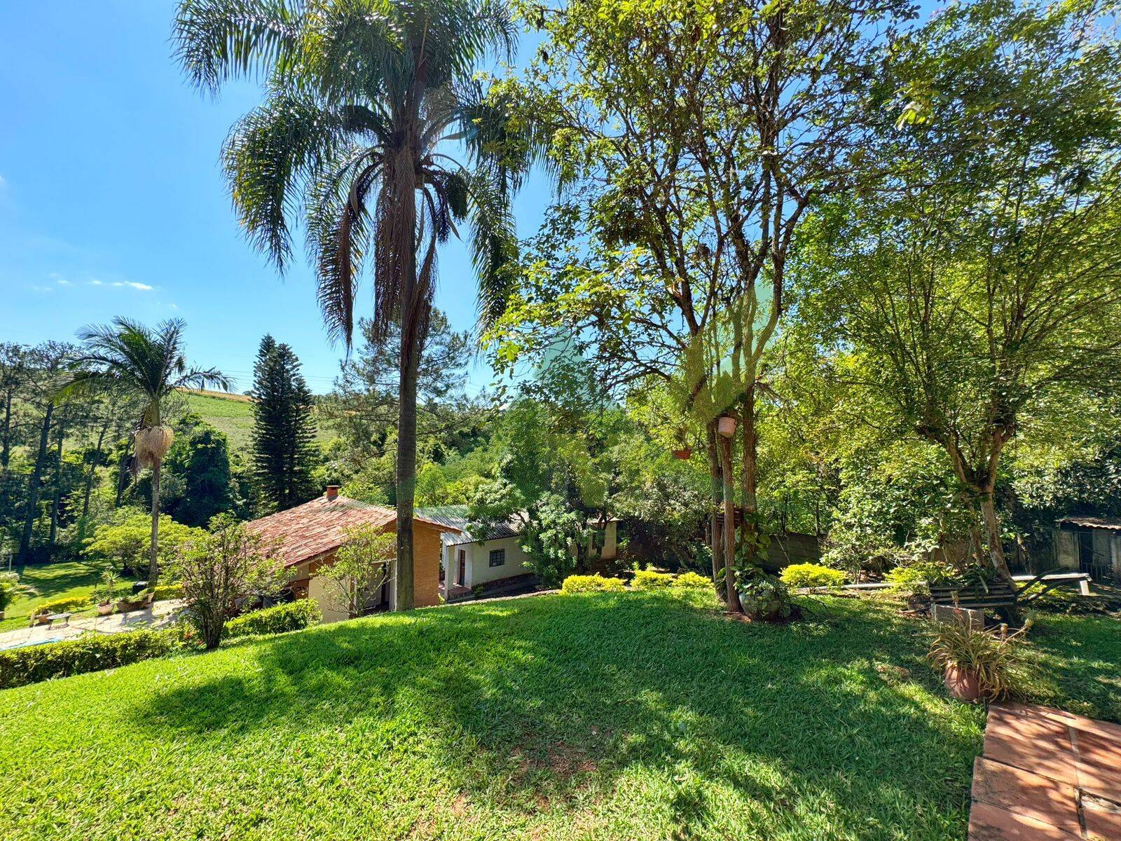 Sítio, 5 quartos, 4560 m² - Foto 5