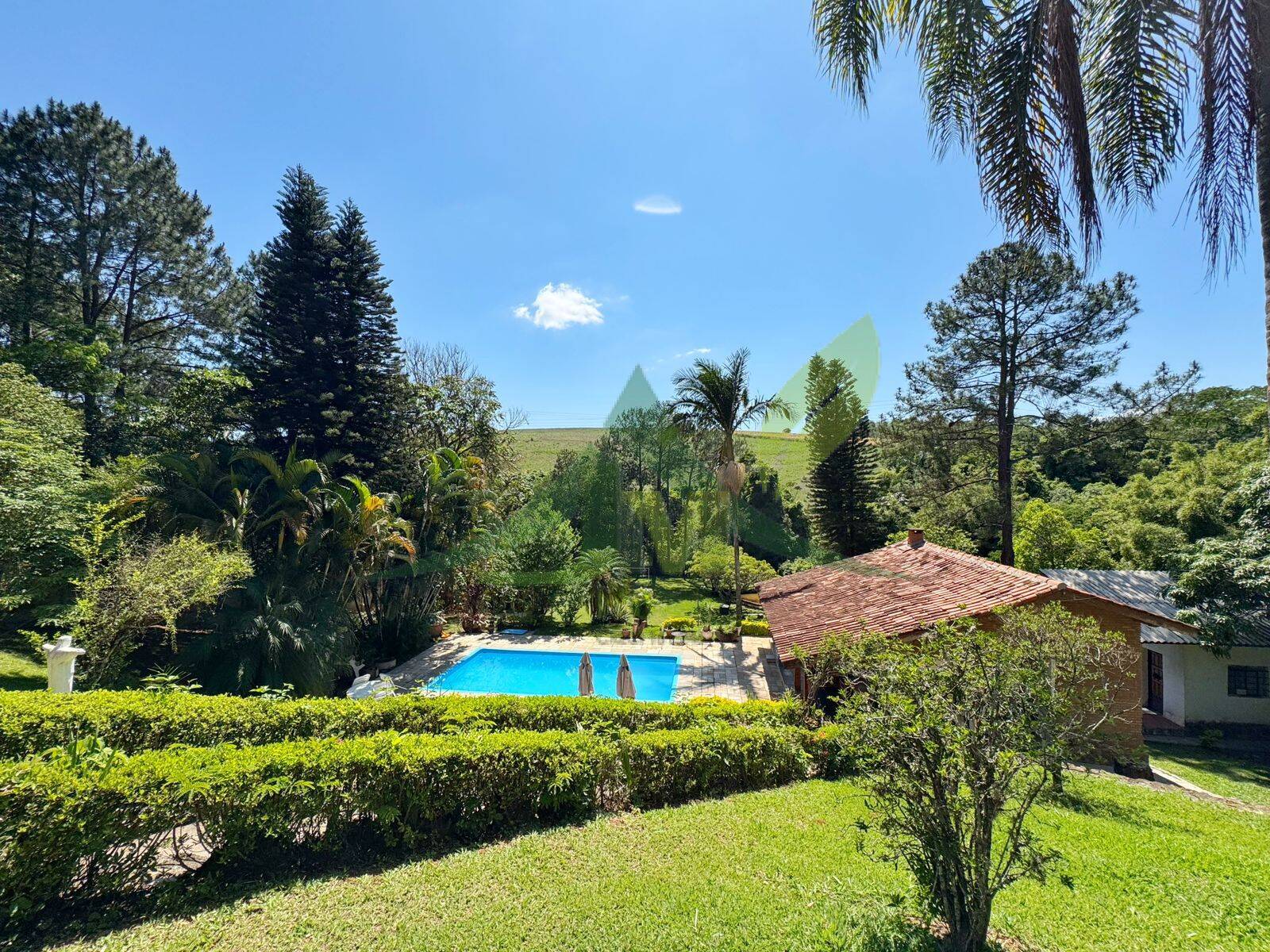 Sítio, 5 quartos, 4560 m² - Foto 3