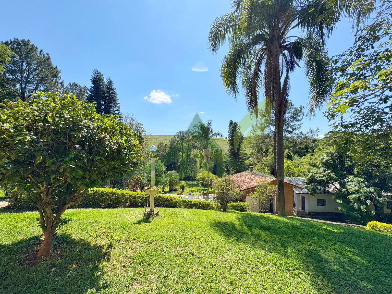 Sítio, 5 quartos, 4560 m² - Foto 23